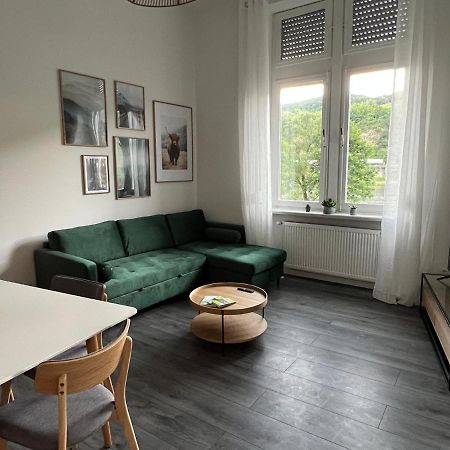 Direkter Moselblick I Altbau I 4 Personen I Terrasse Lejlighed Sankt Aldegund Eksteriør billede